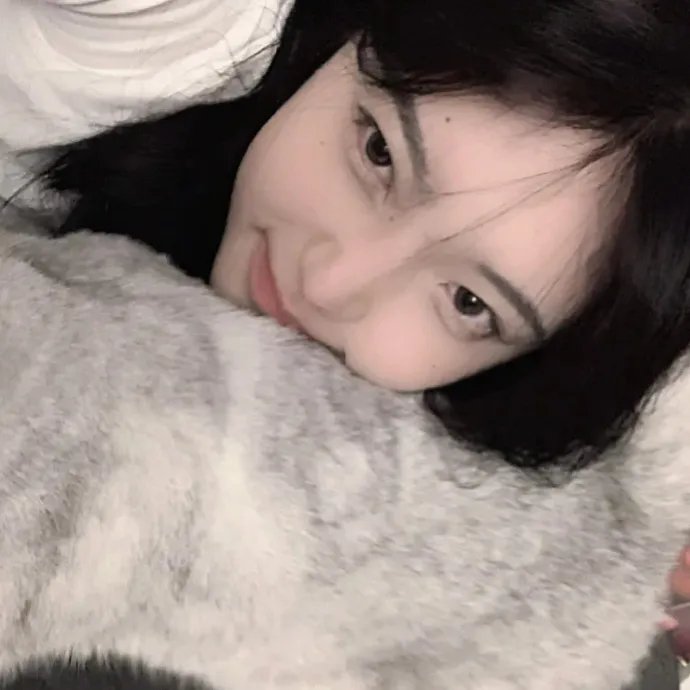 51区：中情局的机密文件